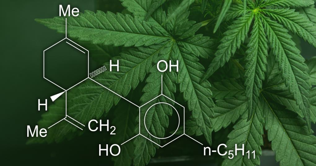 Great Information from the FDA about Cannabis
